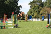 CENTRE EQUESTRE, ECURIE DE PROPRIETAIRES, ECURIE DE COMPETITIONS, ELEVAGE.